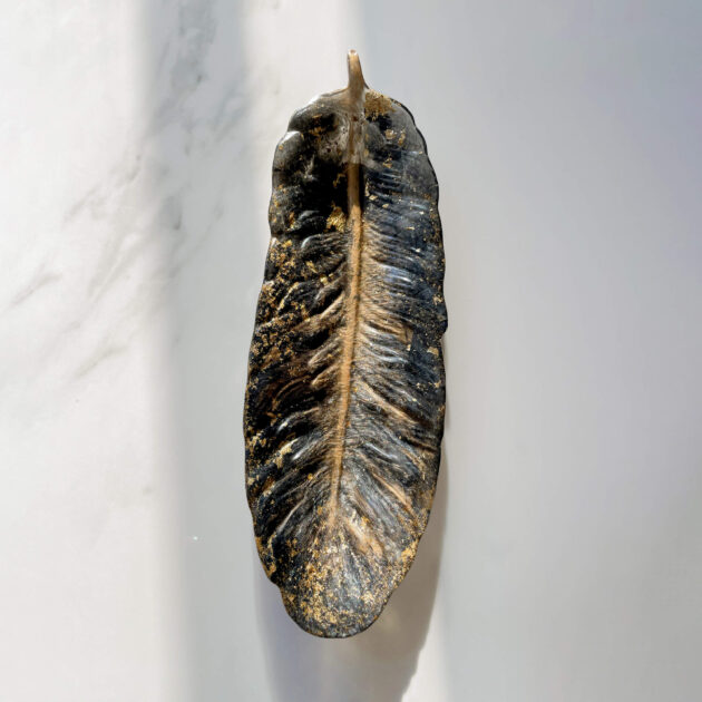 Golden feather - Image 3